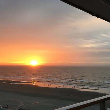 Zwarte Vis * Zandvoort