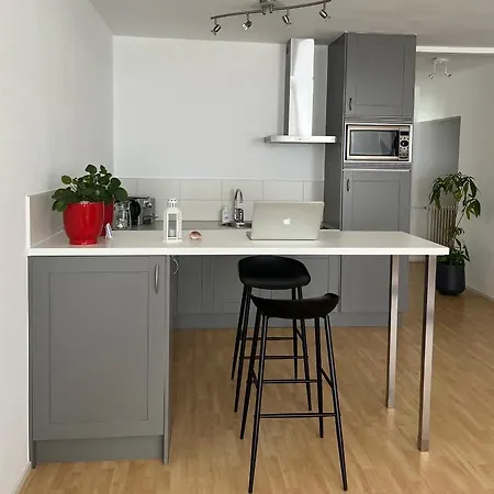 Апартаменты Zwarte Vis