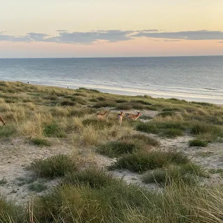 Appartement Zwarte Vis Zandvoort