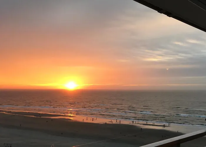 Zwarte Vis * Zandvoort