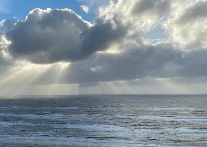 Zwarte Vis Zandvoort