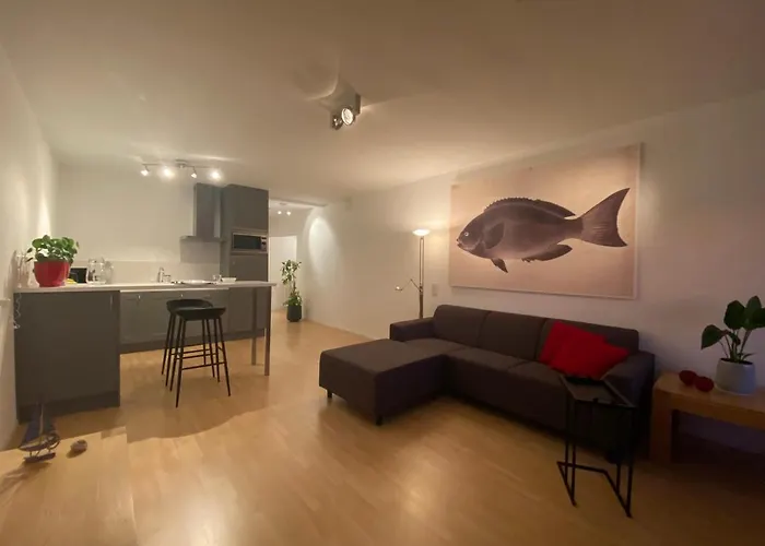 Zwarte Vis * 赞德沃特